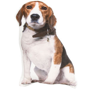 Beagle formázott párna, 50 cm