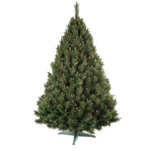Nohel 91412 Erdeifenyő karácsonyfa, 160 cm, 160 cm