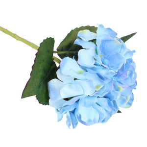 Hortenzia művirág, kék
