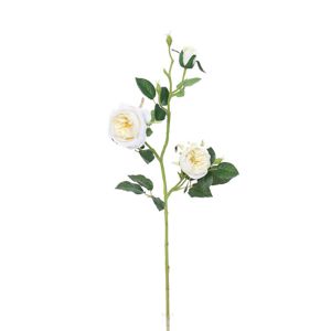 Mű angol rózsa, fehér, 69 cm