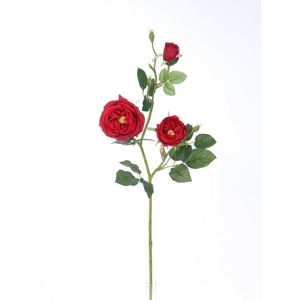 Mű angol rózsa, piros, 69 cm