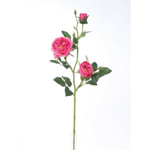 Mű angol rózsa, rózsaszín, 69 cm