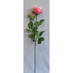 Műrózsa, rózsaszín, 69 cm