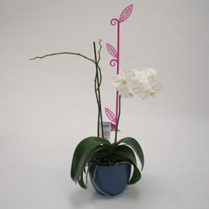 Plastia Orchidea pálca Levél lila, 60 cm