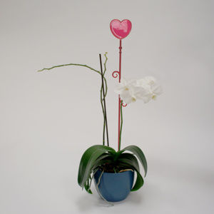Orchidea pálca,szív, piros, 2 db